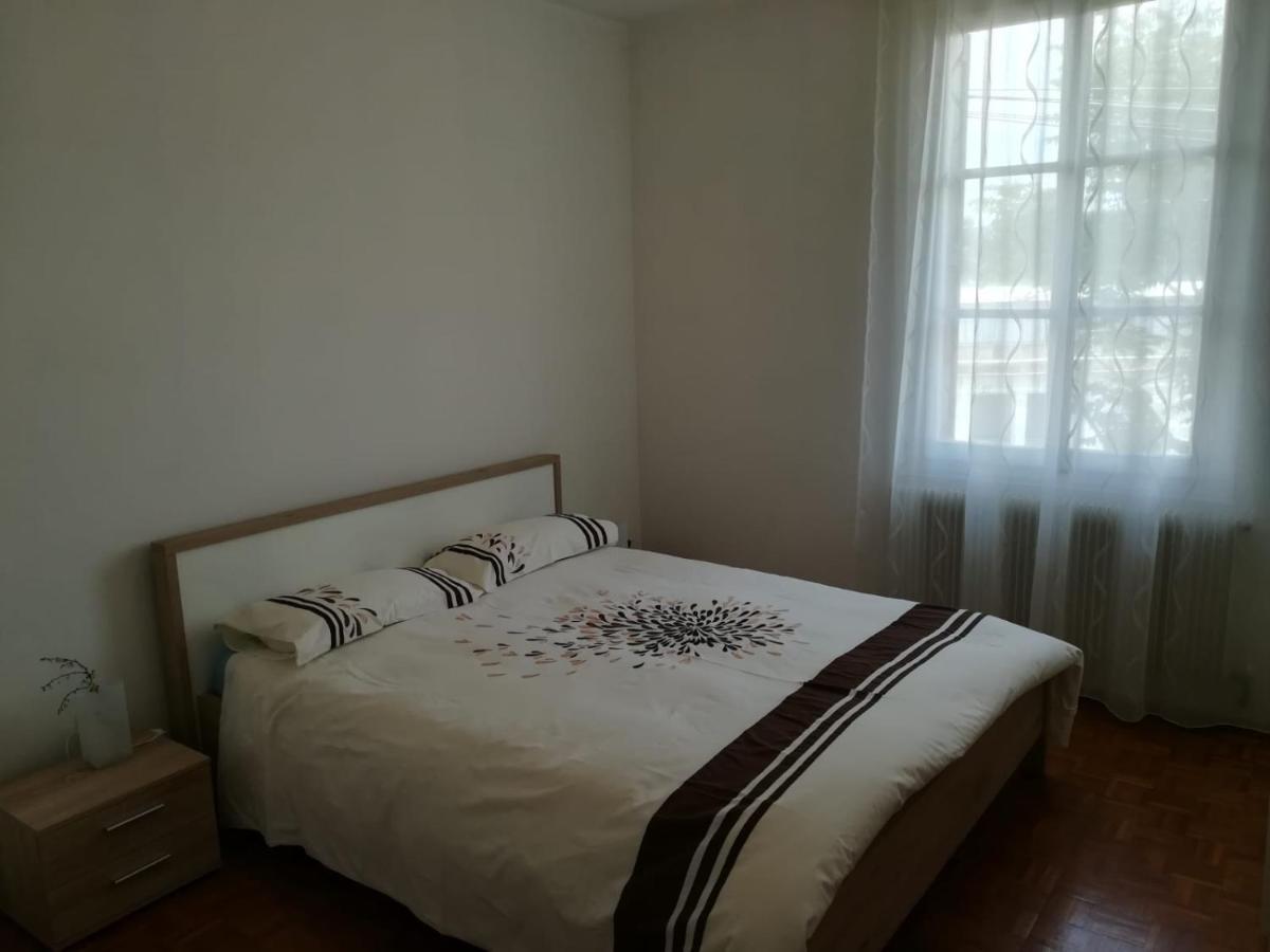 B&B Stadio Apartment 波代诺内 外观 照片