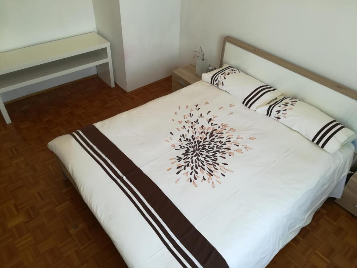 B&B Stadio Apartment 波代诺内 外观 照片